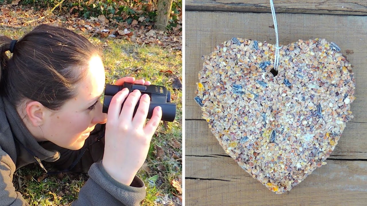 FABRIQUER DES BOULES DE GRAISSE POUR LES OISEAUX