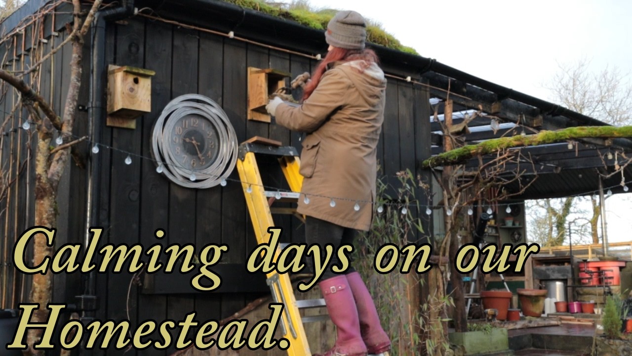 Wind down to a Calming approach to Homestead life in Nature