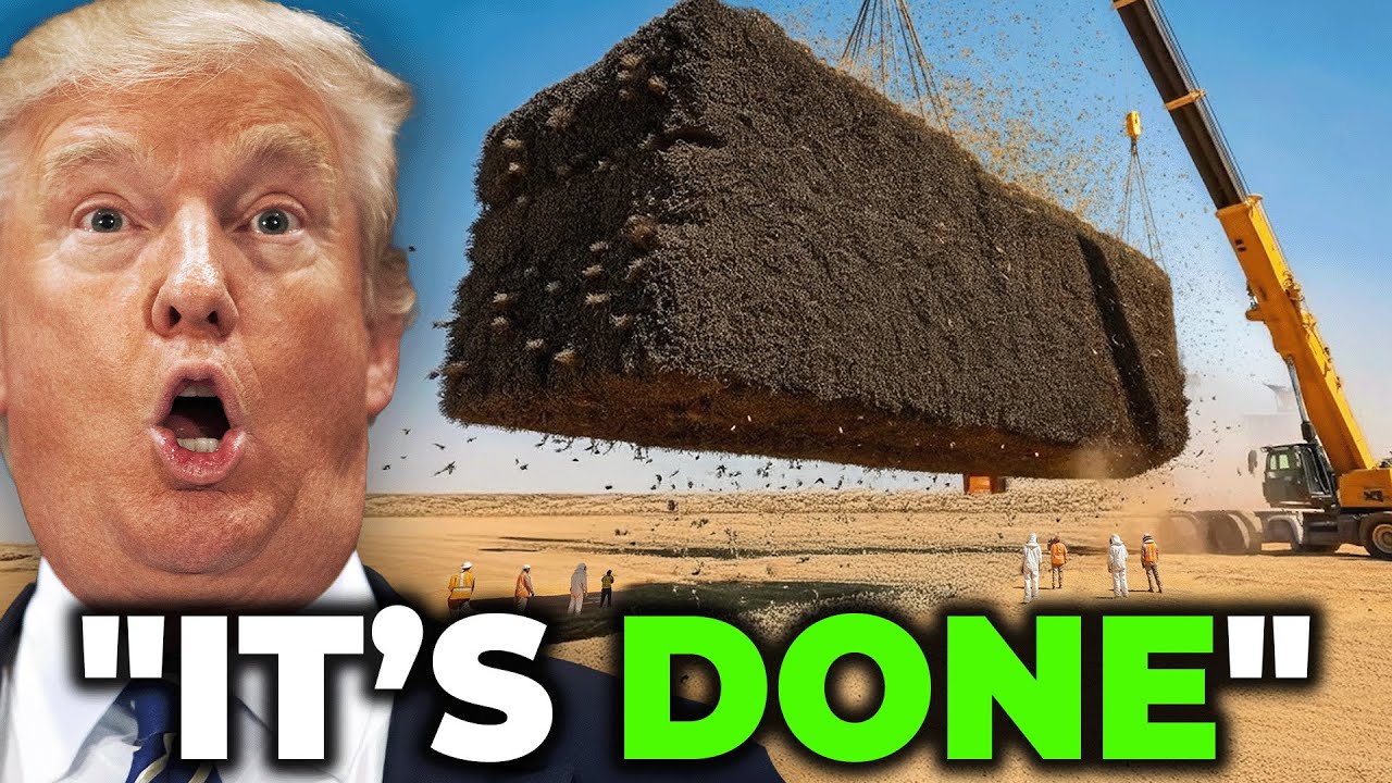Nevada Releases Millions of Live Bees Into Desert &ndash; The 1 Month Result Shocks the World