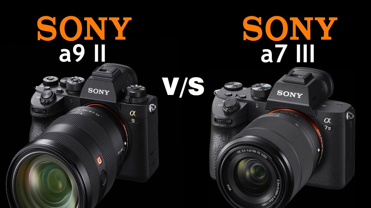 Sony a9 II vs Sony a7 III | Quick Camera comparison