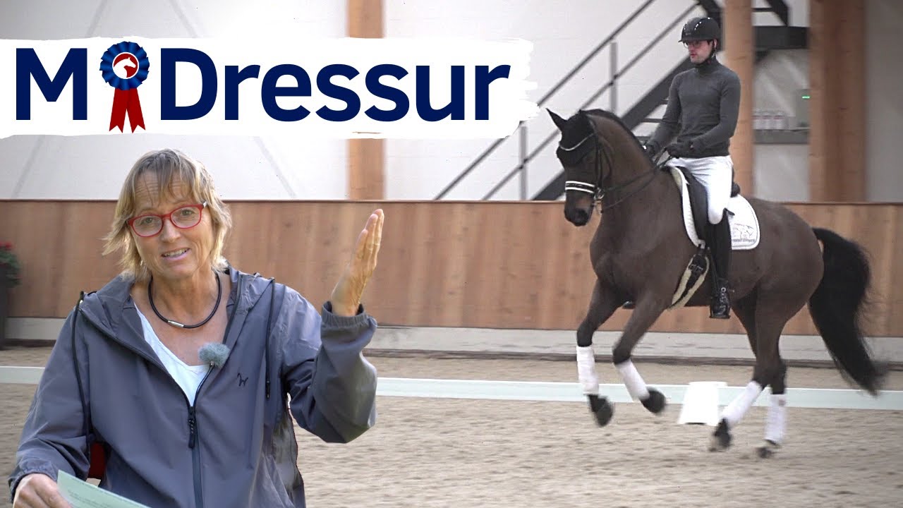 Das wollen die Richter sehen: M-Dressur 😅| Ganz schön anspruchsvoll 🤯| ClipMyHorse.TV Academy