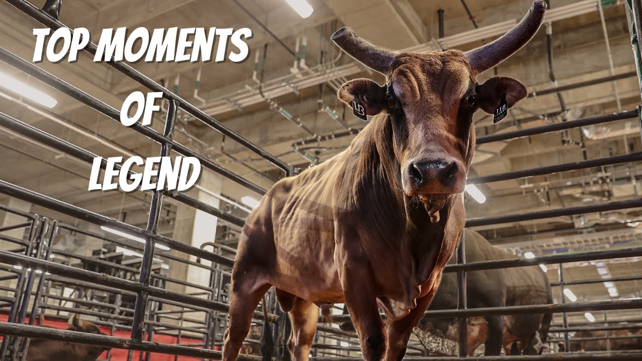 When Bulls Soar: UTZ Legend's Top Athletic Performances