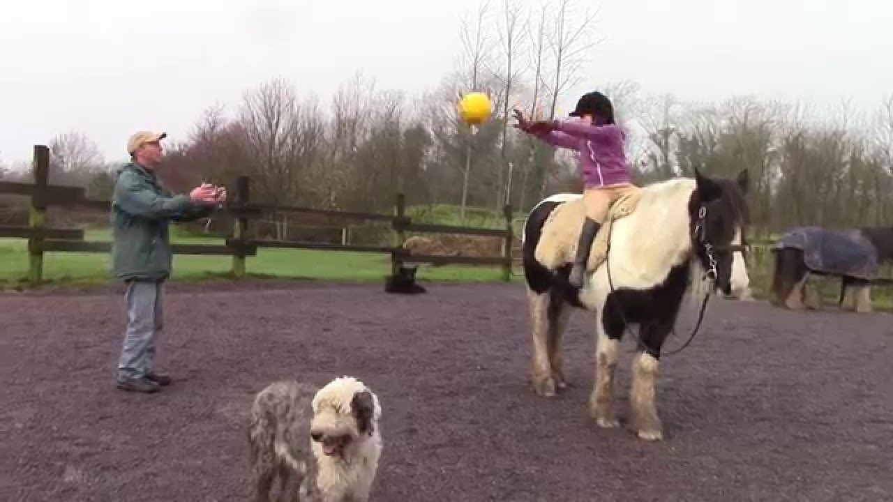 Hairy Henry Therapeutic Riding Film 2016