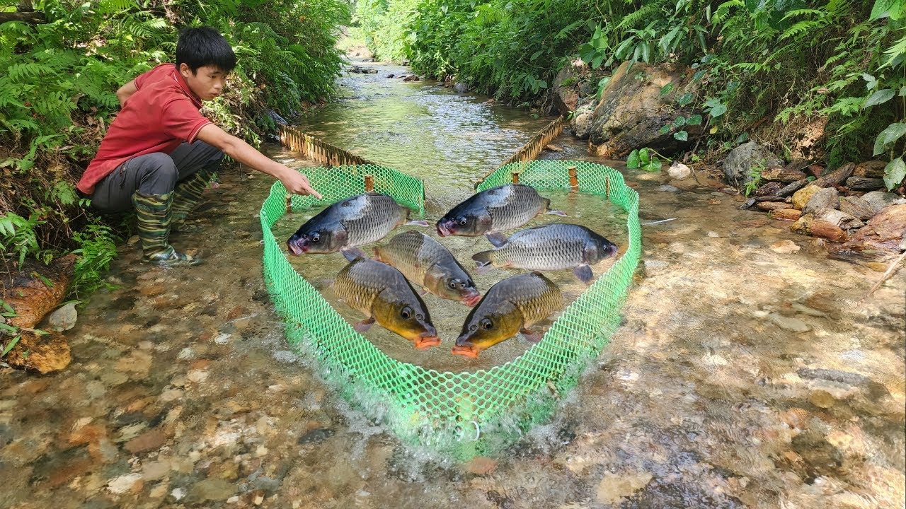The boy used green net and bamboo to make a fish trap in the stream.