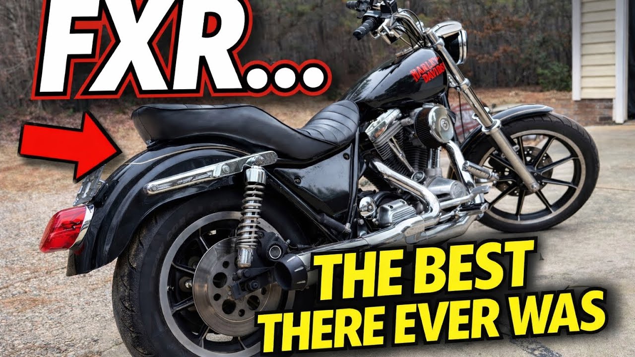Fxr Daze