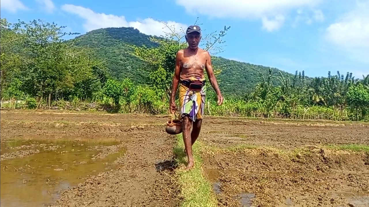 හැරපට කතාව🍁☘️🍀