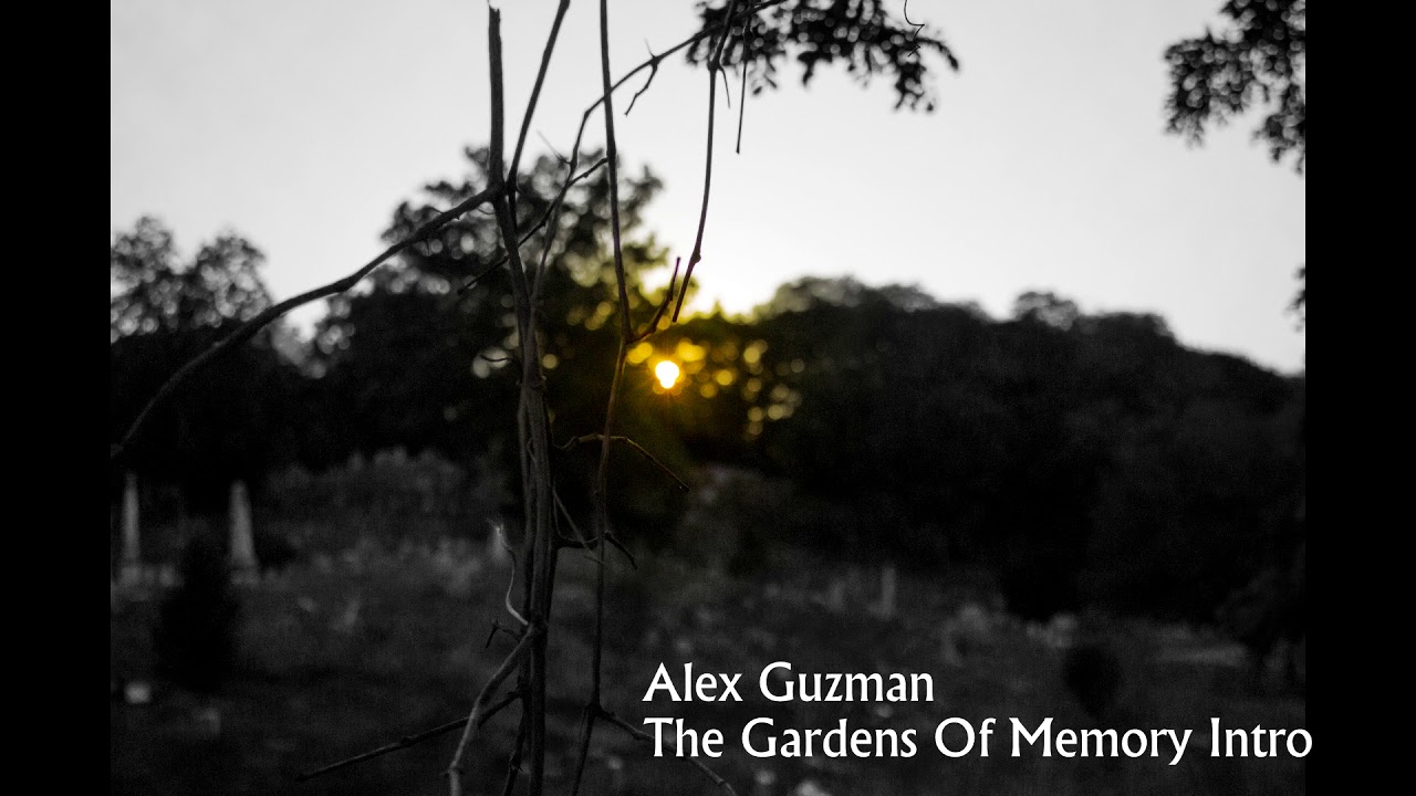 Alex Guzman (Original) Gardens of Memory