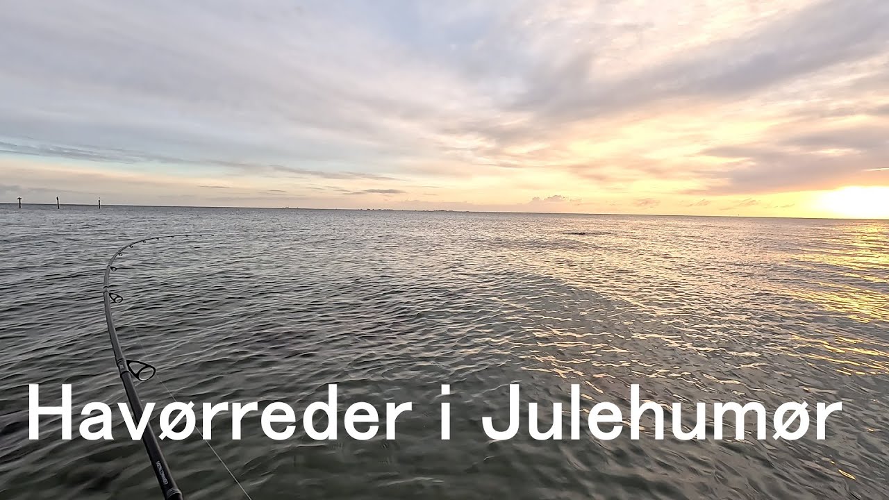 Havørreder i Julehumør