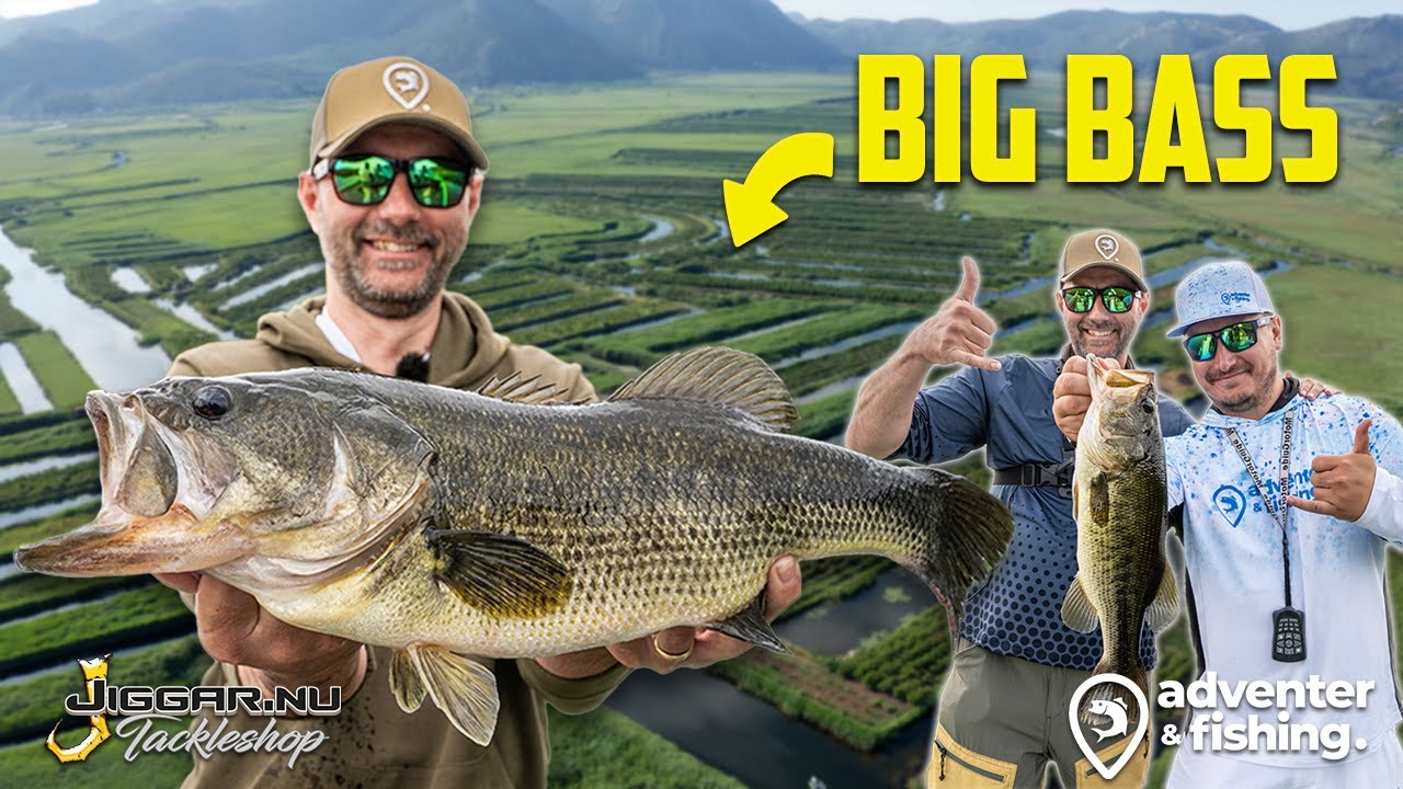 BIG BASS in Croatian Maze! 😲 with Adventer & Fishing