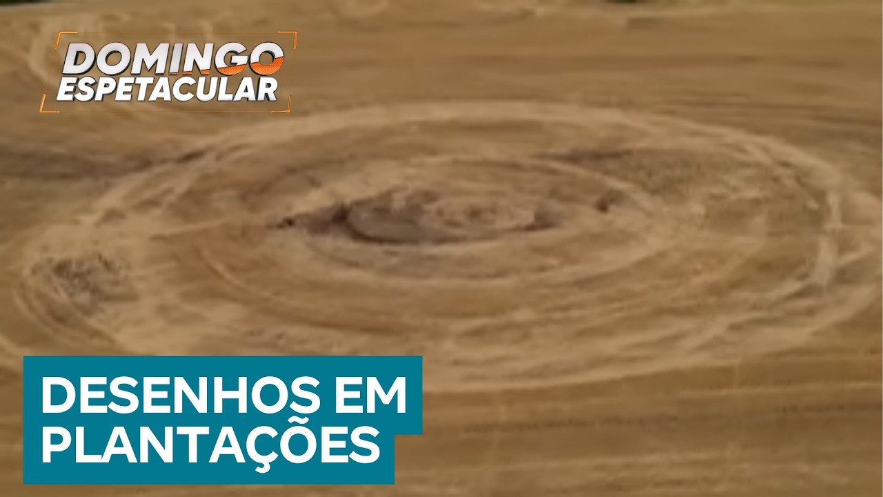 Mistério: desenhos gigantes em plantação intrigam moradores do interior de Santa Catarina