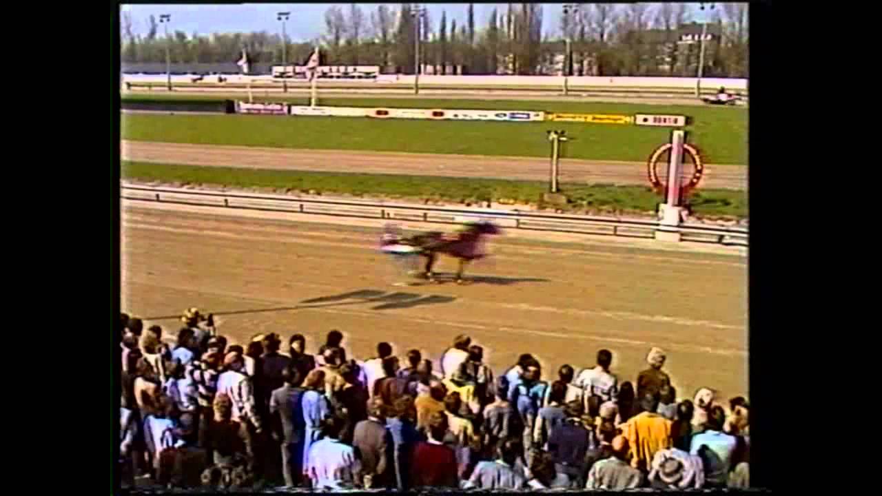Preis der Meisterfahrer 1984_Elkjunge ( Heli Biendl )