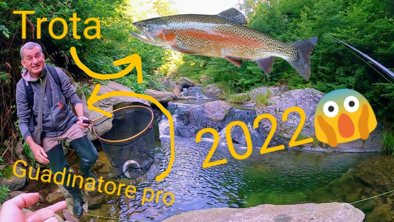 PESCA ALLA TROTA IN TORRENTE 2022