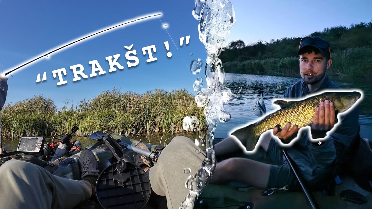 LŪŽUSI Meškerė ir Šešupės LOBIAI | (2 Dalis)