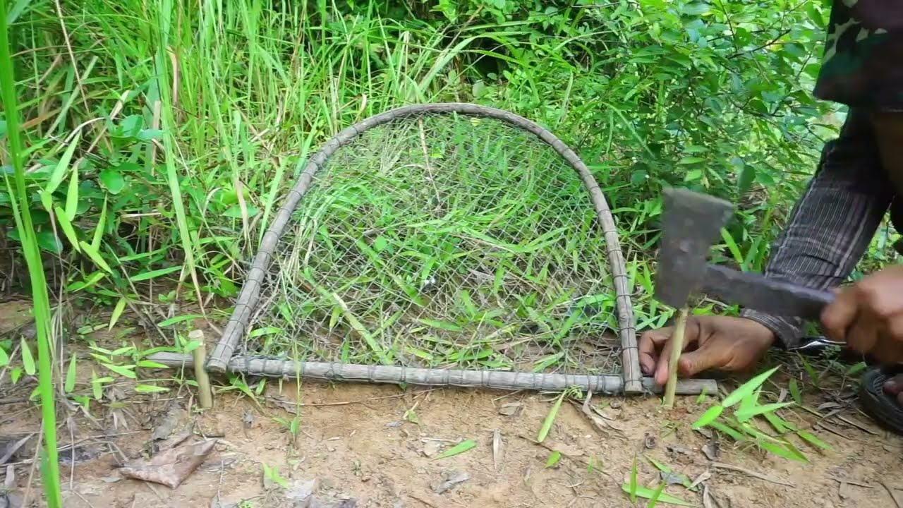 Easy Make Wild Chicken Trap That Work