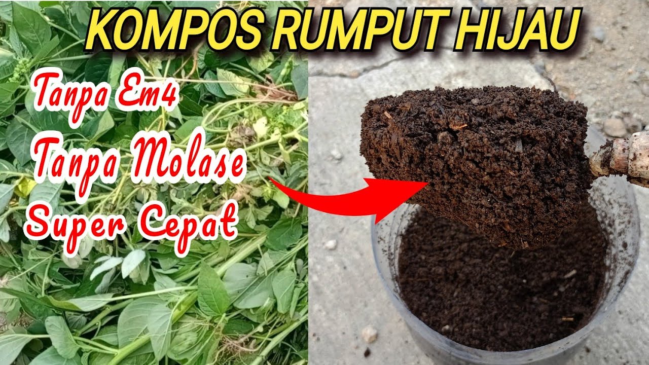 Mudah Sekali 😲‼️Jadikan Rumput Hijau jadi KOMPOS SUPER CEPAT