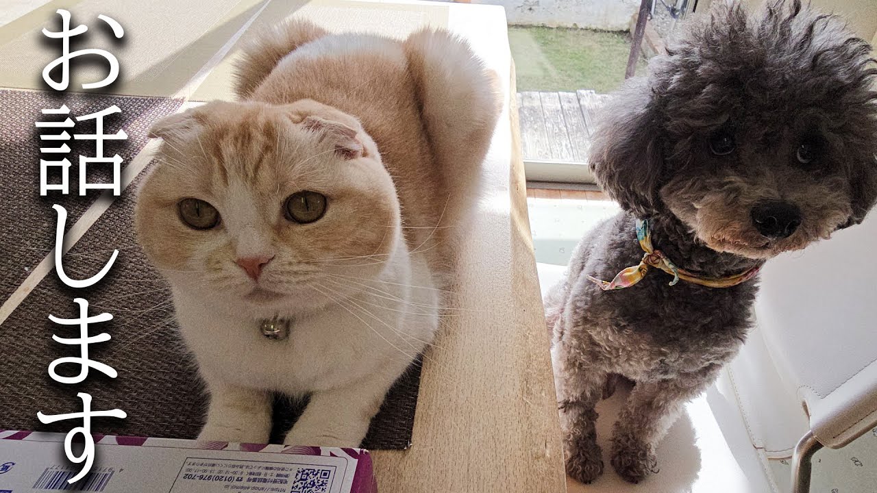 ついにこの日がきました...