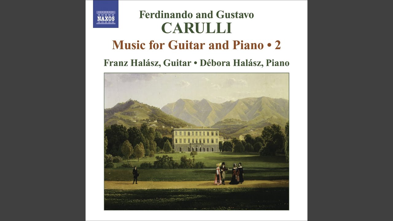 Grand Duo in E Minor, Op. 86: I. Allegro