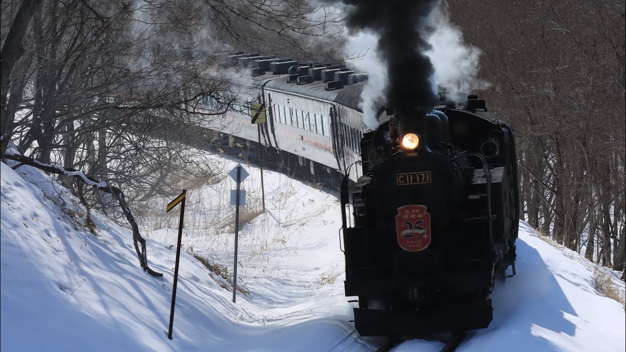 釧網本線 釧路湿原〜細岡9380レ SL冬の湿原号 C11+14系他