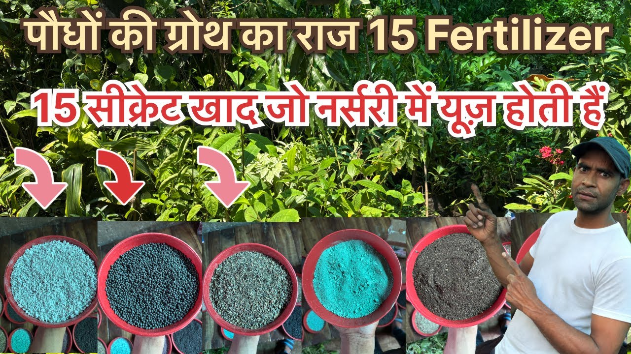 नर्सरी वाले कौनसा खाद यूज़ करते हैं15 सीक्रेट फर्टिलाइज़र/plant fertilizer fast growth