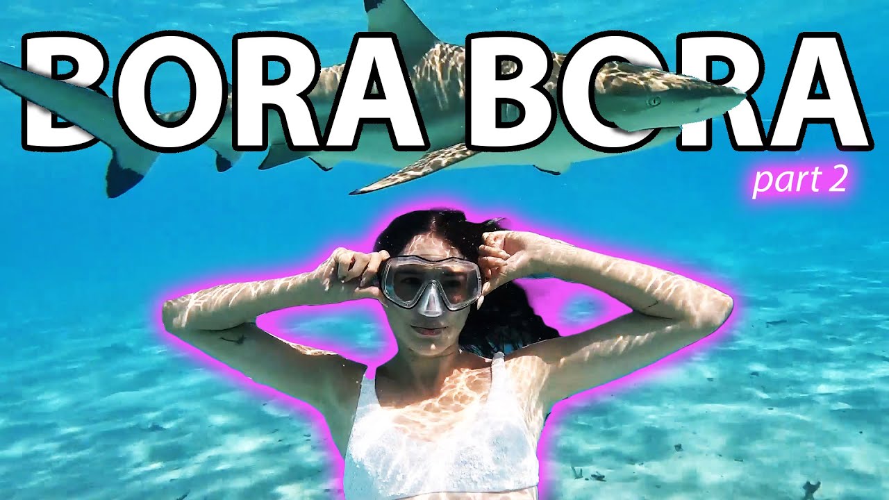 We Swam with SHARKS in Bora Bora!! Our Dream Family Vacation [part 2]