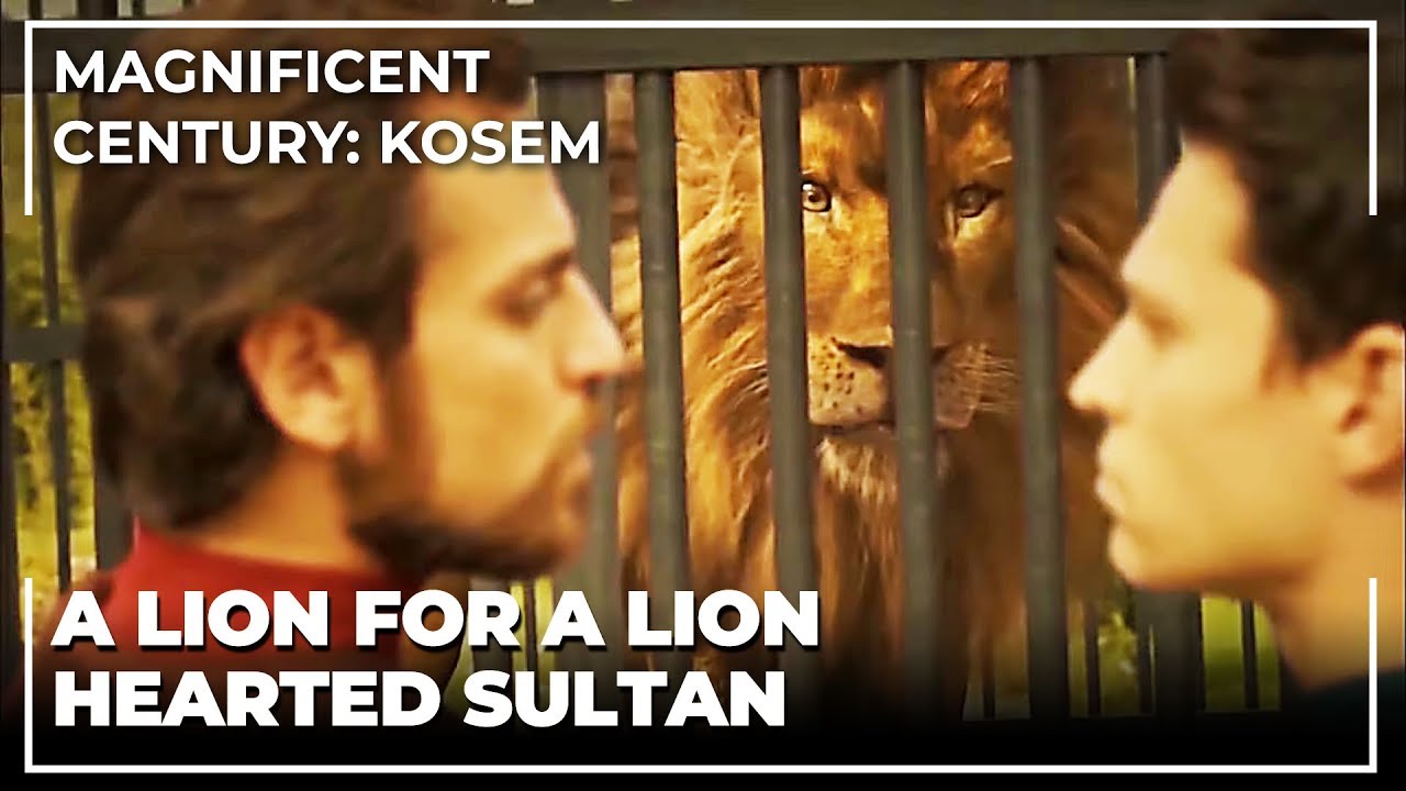 Mehmed Giray And Şahin Giray Gave Gifts To Sultan Ahmed | Magnificent Century: Kosem
