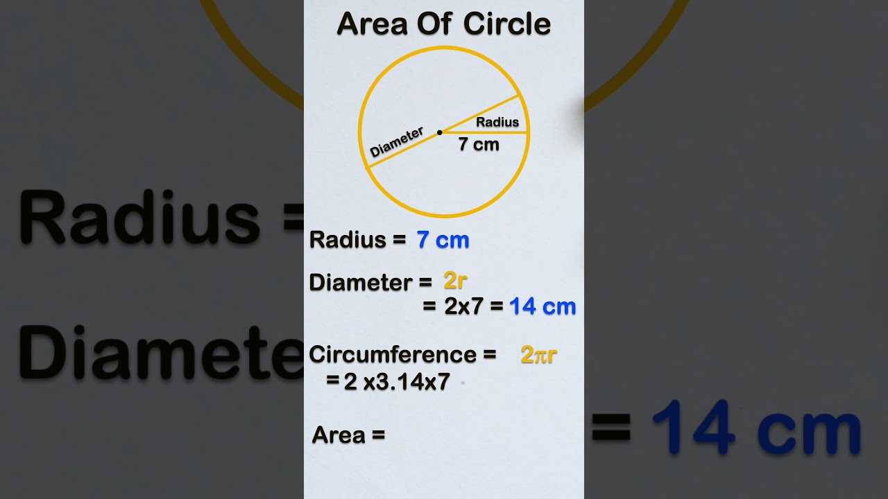 Find area, circumference & diameter of circle | #shorts  #circle