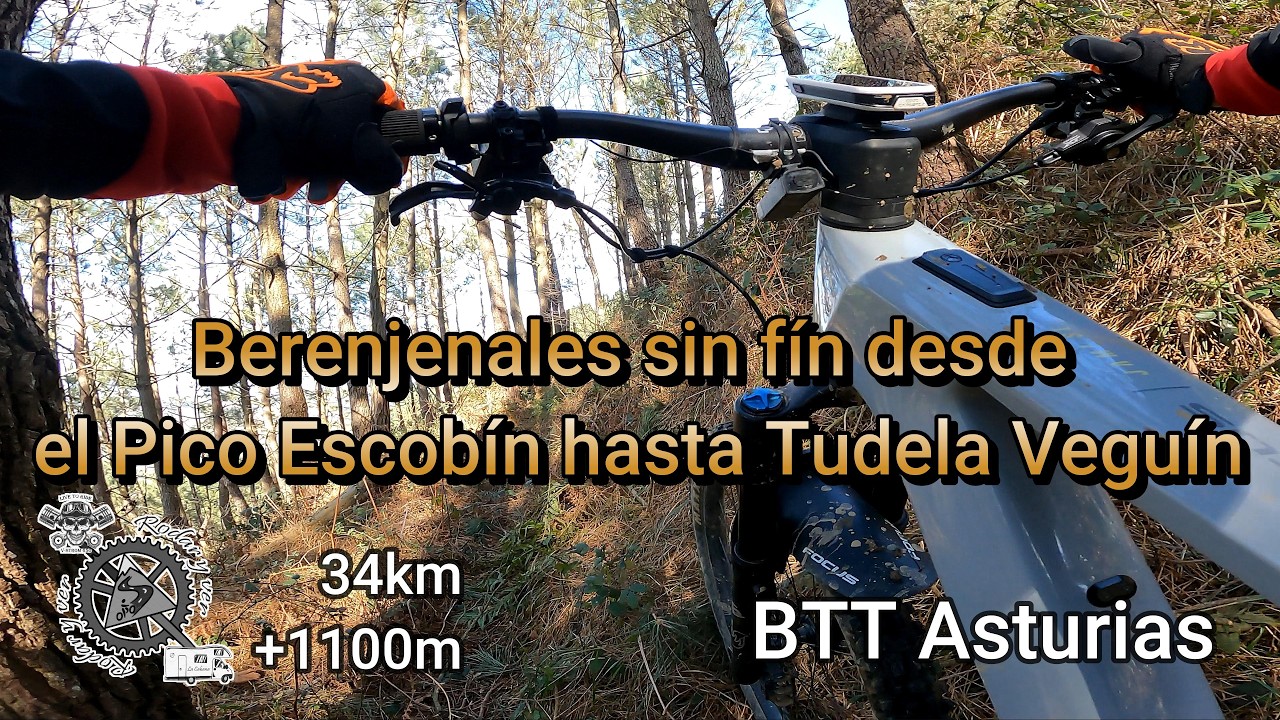 BTT Asturias | Berenjenales sin fin del Pico Escobín a Tudela Veguín