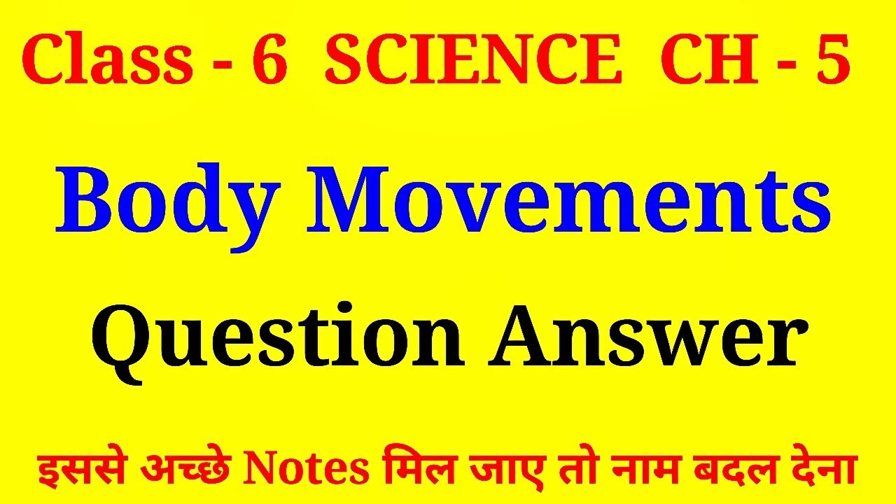 body movements class 6 question and answer | class 6 science body movements question answer