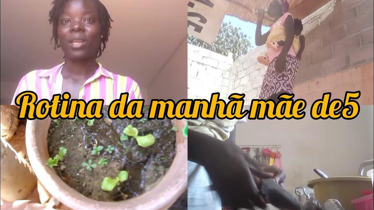 Cuidando do lar com amor, já fiz a plantação no canteiro, ROTINA PRODUTIVA/