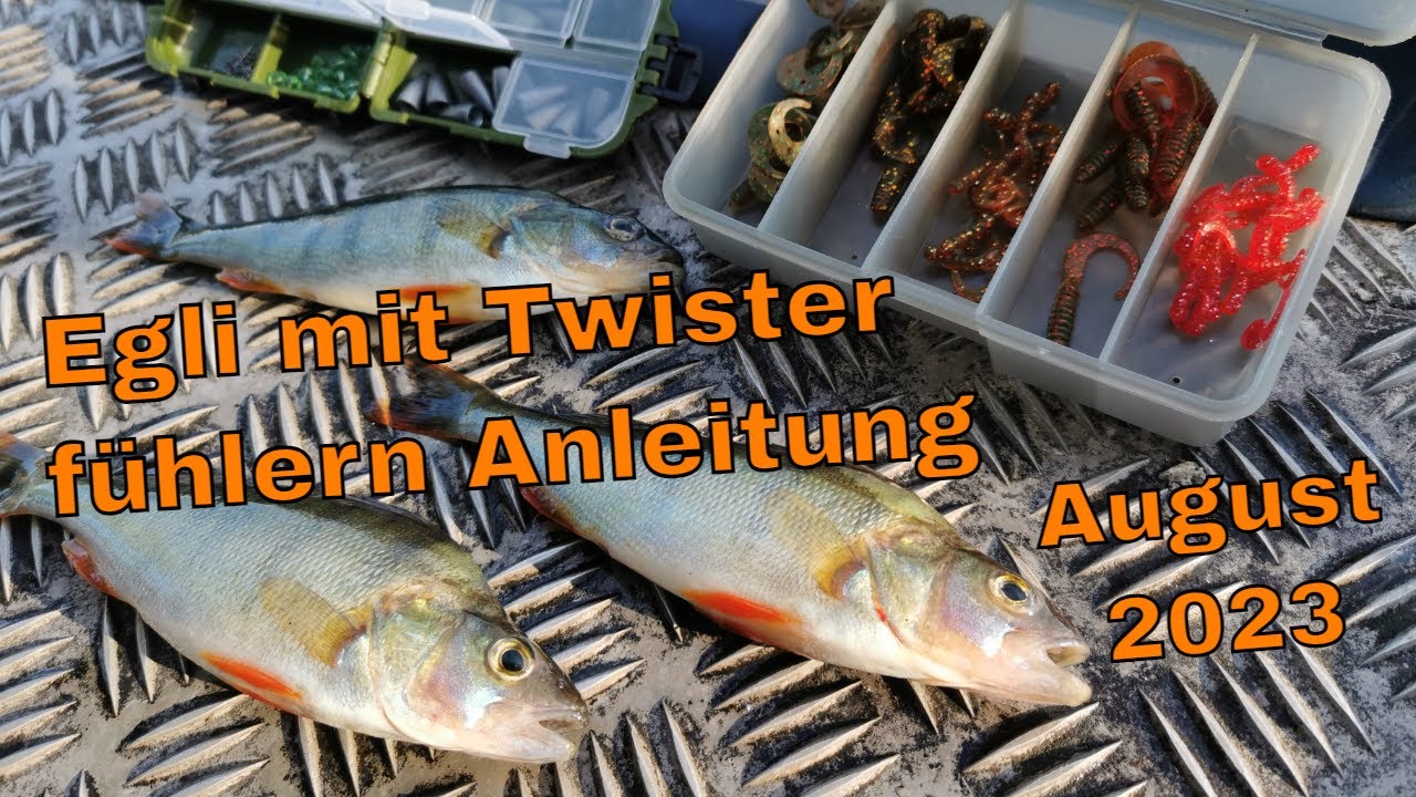 Barsch mit dem Twister am Laufblei fühlern