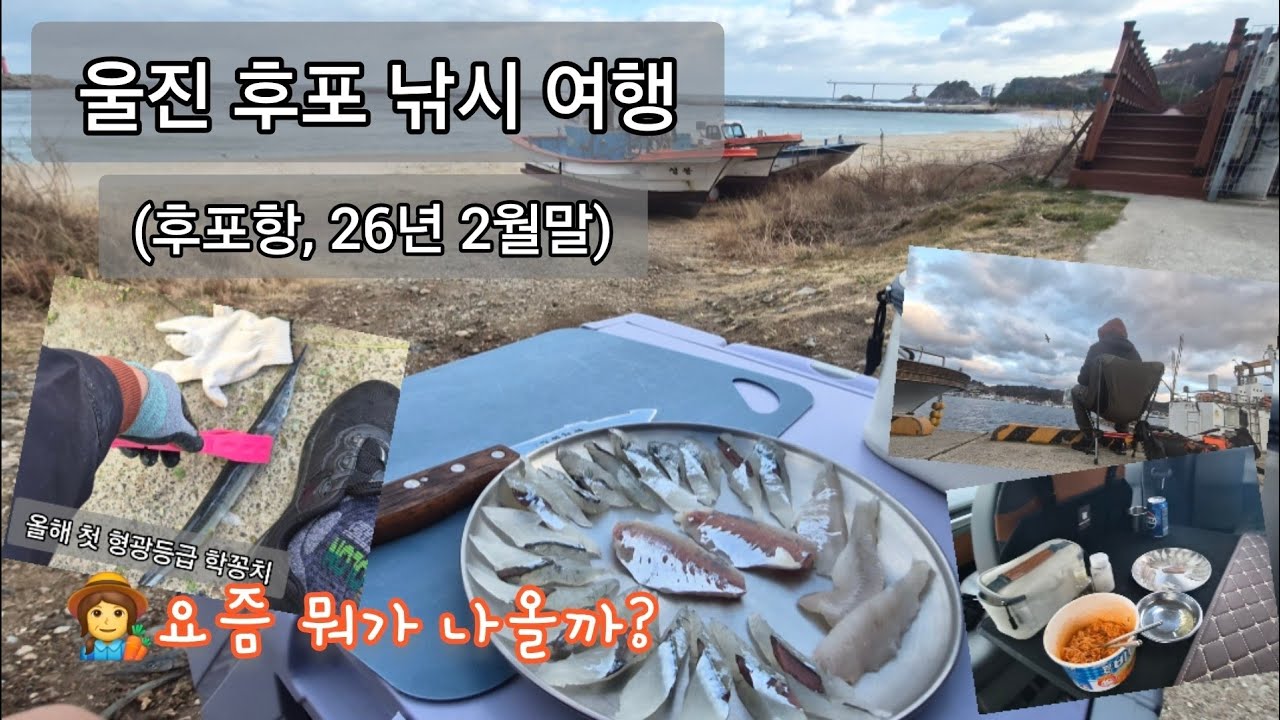 울진 후포 낚시 여행 (후포항, 26년 2월말) #낚시 #후포항 #울진낚시 #학꽁치낚시 #학꽁치