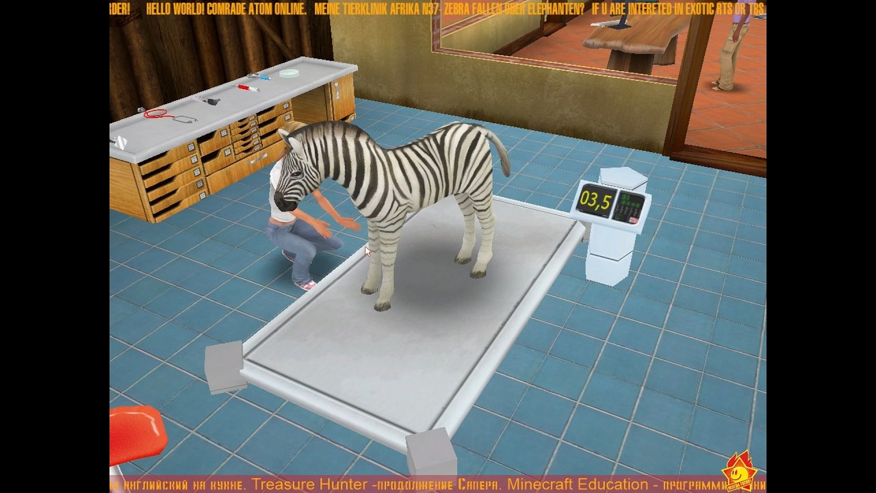 ❁ 1е Жеребята ❁ 1ste Zebra fohlen ❁37❁RU/DE❁ Meine Tierklinik
