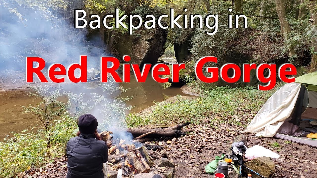 BACKPACKING WITH DOGS  in the CLIFTY WILDERNESS | Red River Gorge in 4K