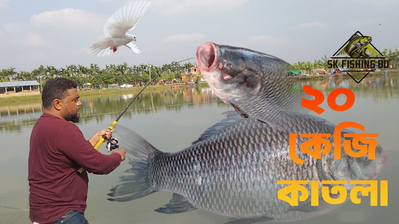 ২০ কেজি কাতলা II SK Fishing Bd | Big Fish Catch in Bangladesh fishing, big fish, bangladesh fishing
