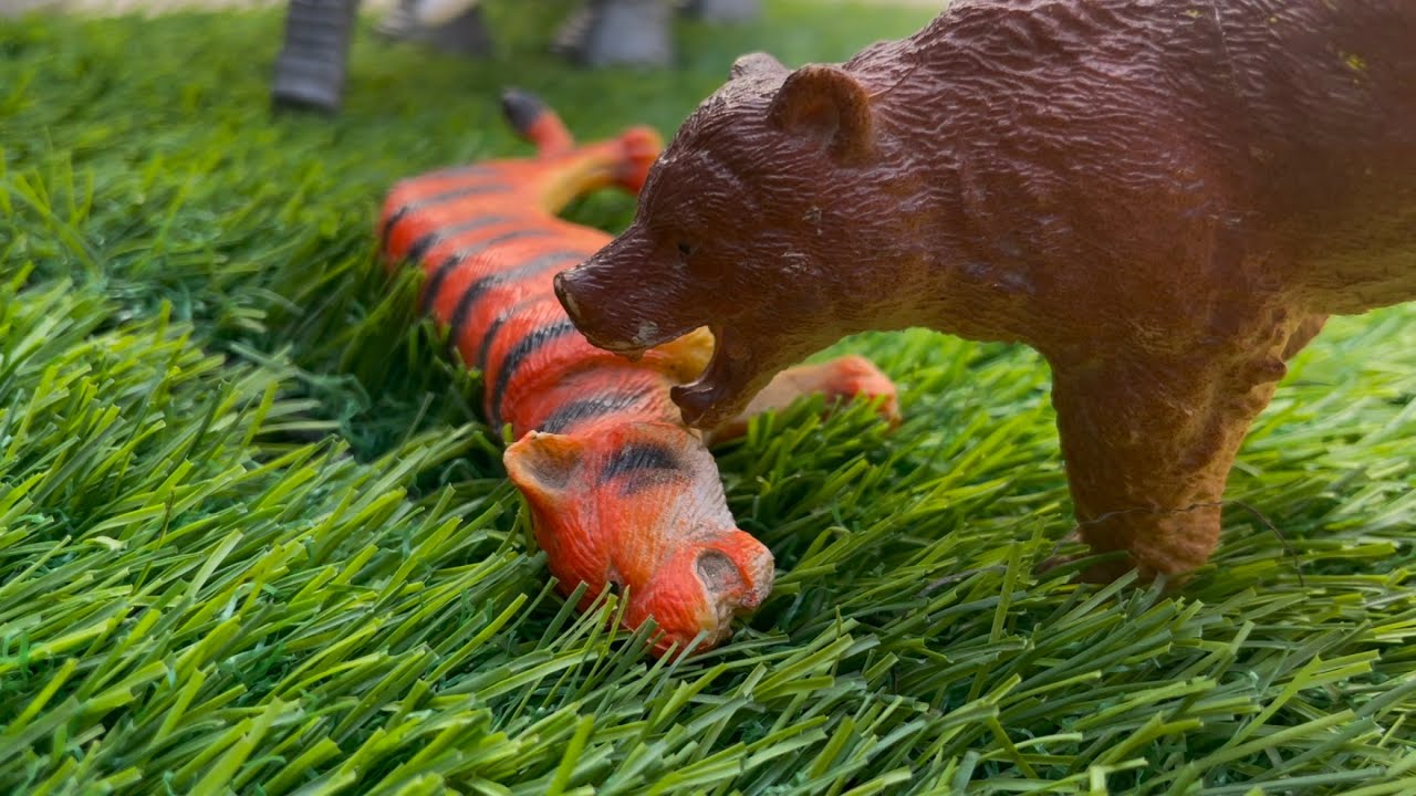Cartoon video 🐅tiger and Bhalu 🐻￼￼￼ jungle for animal 😱😱😱￼