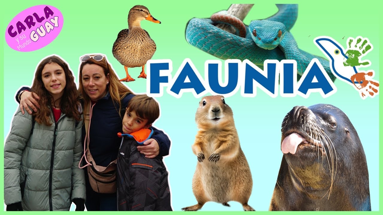 FAUNIA Madrid 2024 El mejor ZOO de España? VENENO🐍 AMAZONAS, LEONES MARINOS, Carla y Su mundo Guay