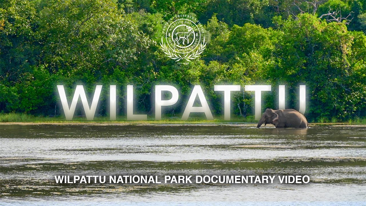 Wilpattu National Park - Full Documentary | Trinity College Kandy