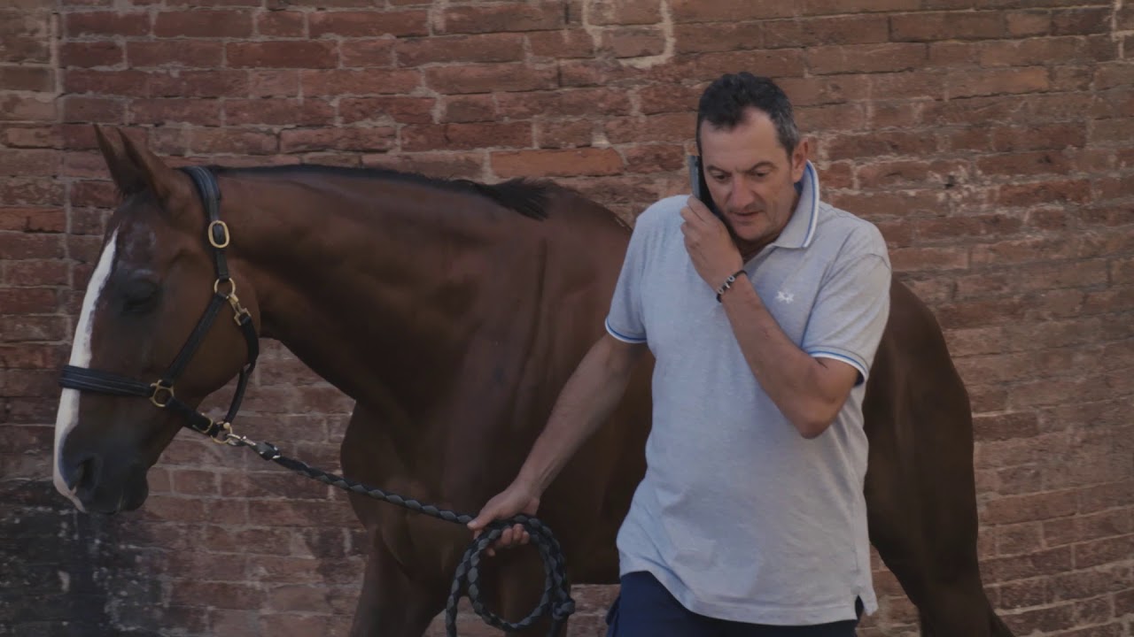 La Lupa si prepara al giro della vittoria - Palio 16 agosto 2018