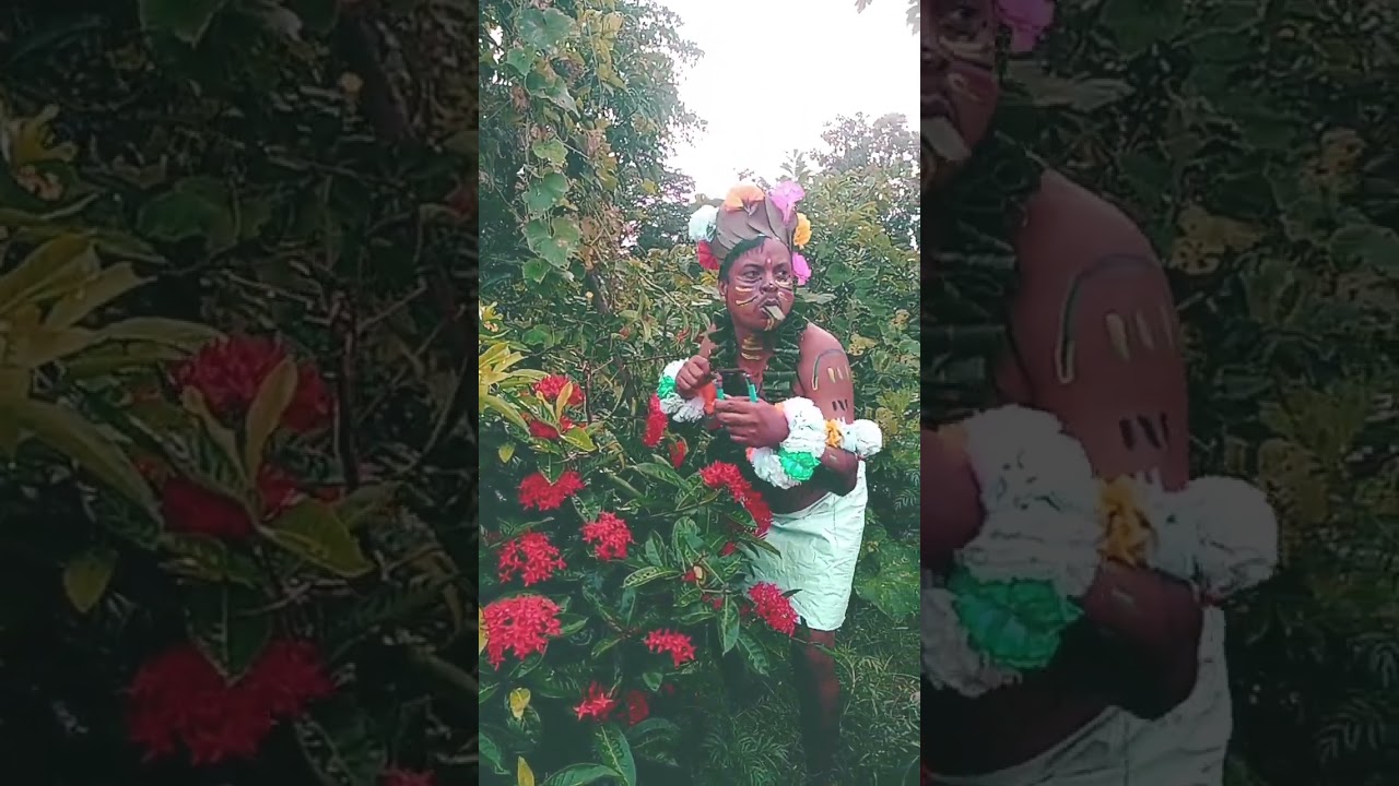 #entertainment #birdsounds #birds #trending #youtubeshorts #viralvideo #shortsvideo