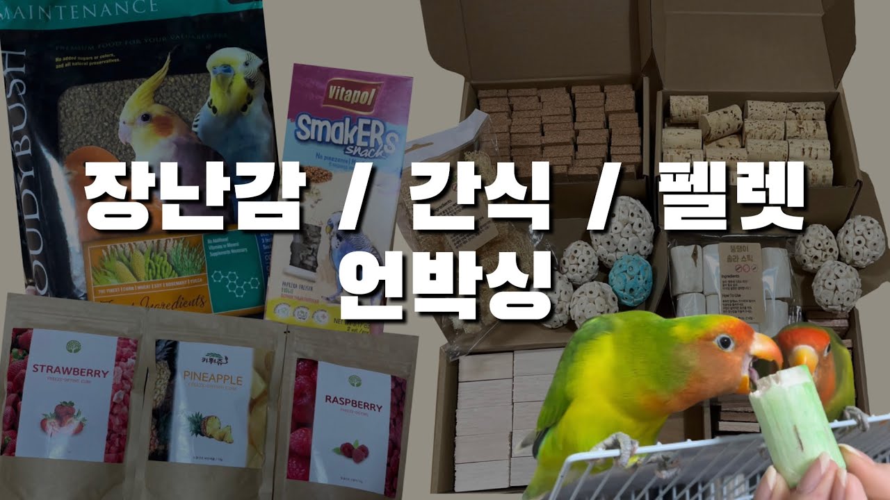 앵무새 용품 언박싱 같이해요 📦 ㅣ 앵무새연구소, 아가새농장, 리프패럿 ㅣ 앵무새 브이로그