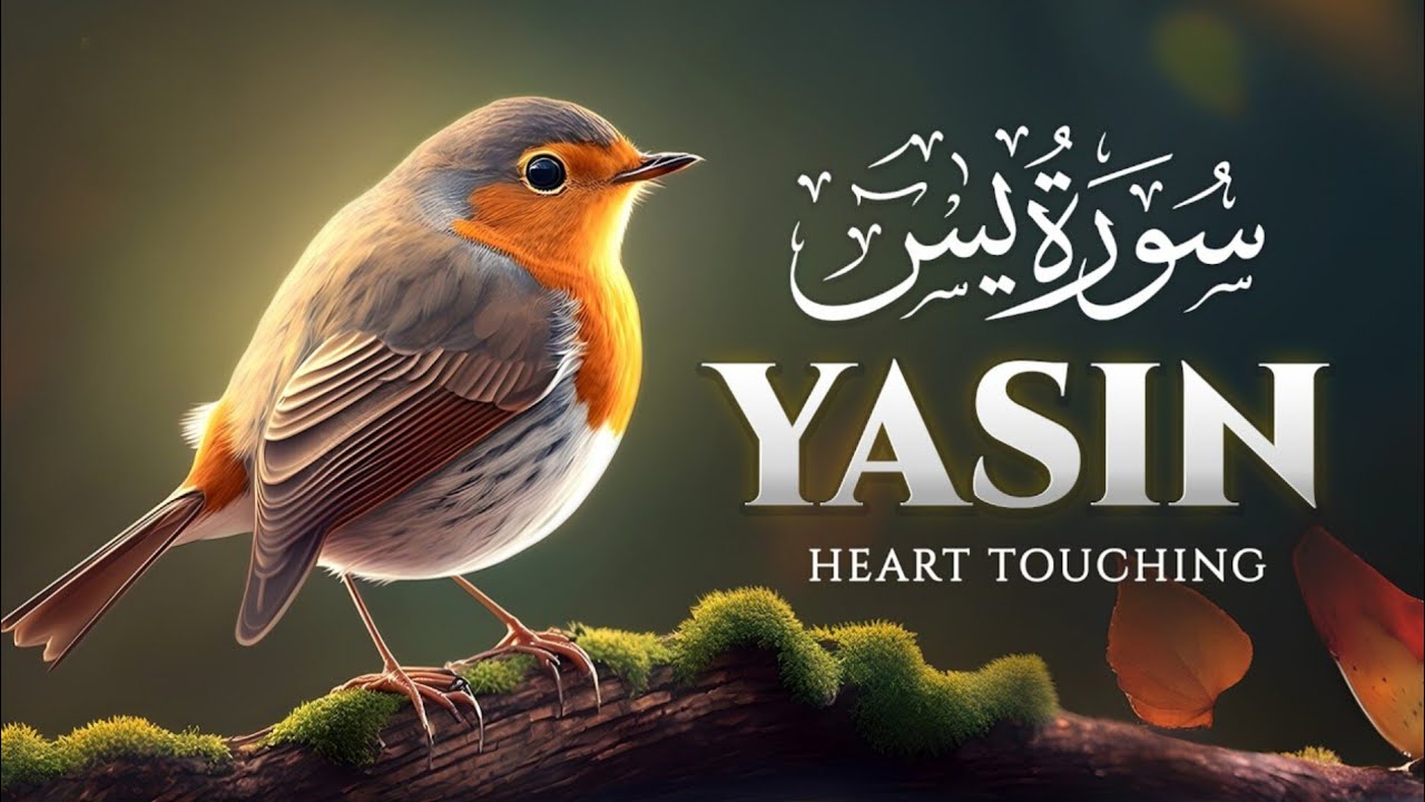 Surah Yaseen (Yasin) سورة يس | Heart Touching Beautiful Quran Recitation for Peace & Relaxation 