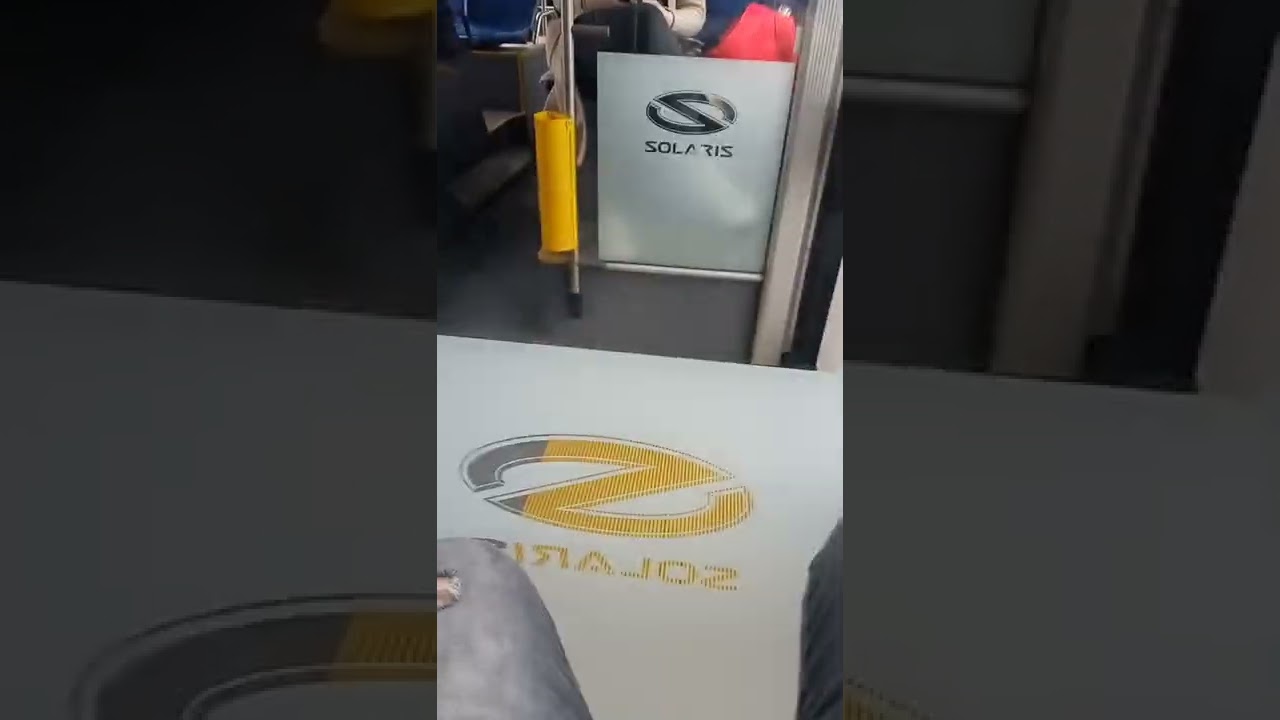 Using lithuanian public transport