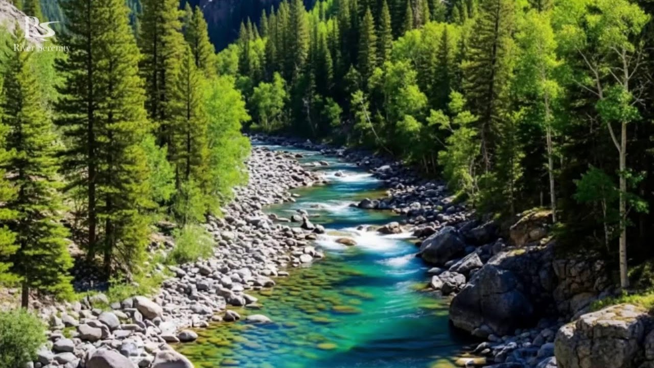 River Waterfall Flowing in a Mountain Forest 24/7. Waterfall Sounds. White Noise for Sleeping. #2