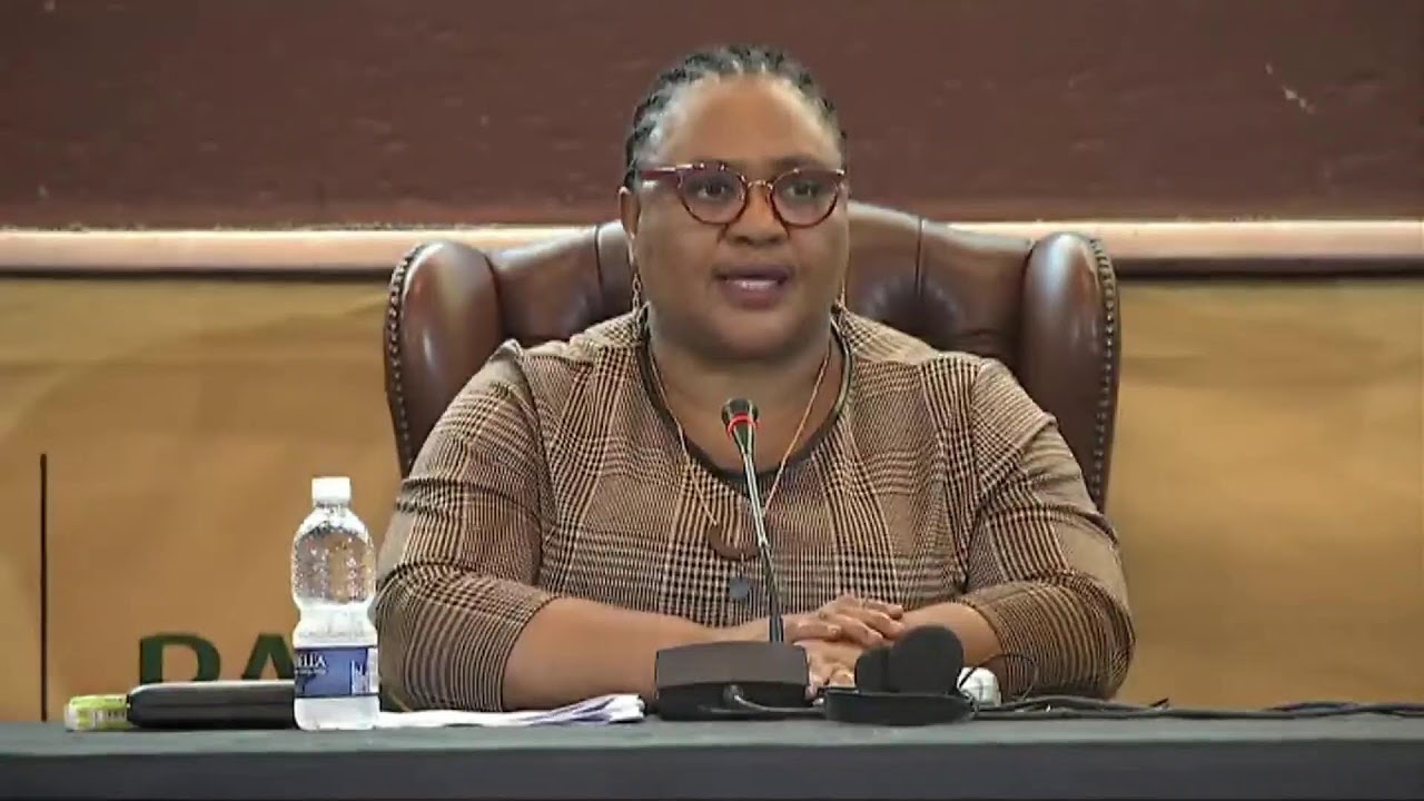 NA PLENARY (City Hall), 09 July 2024