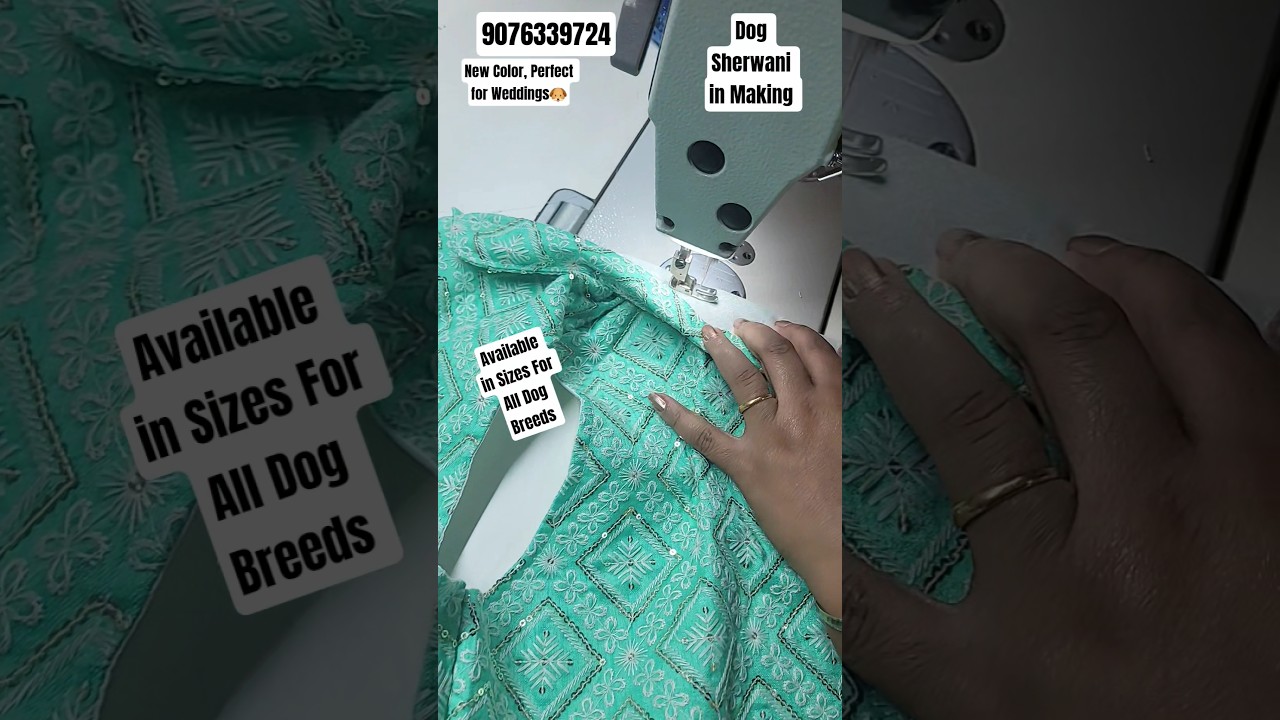 Sewing a Dog Sherwani For Wedding💕How to Sew🐶#dogclothes#Dogsherwani#dogdress#dogfashion#yt#shorts
