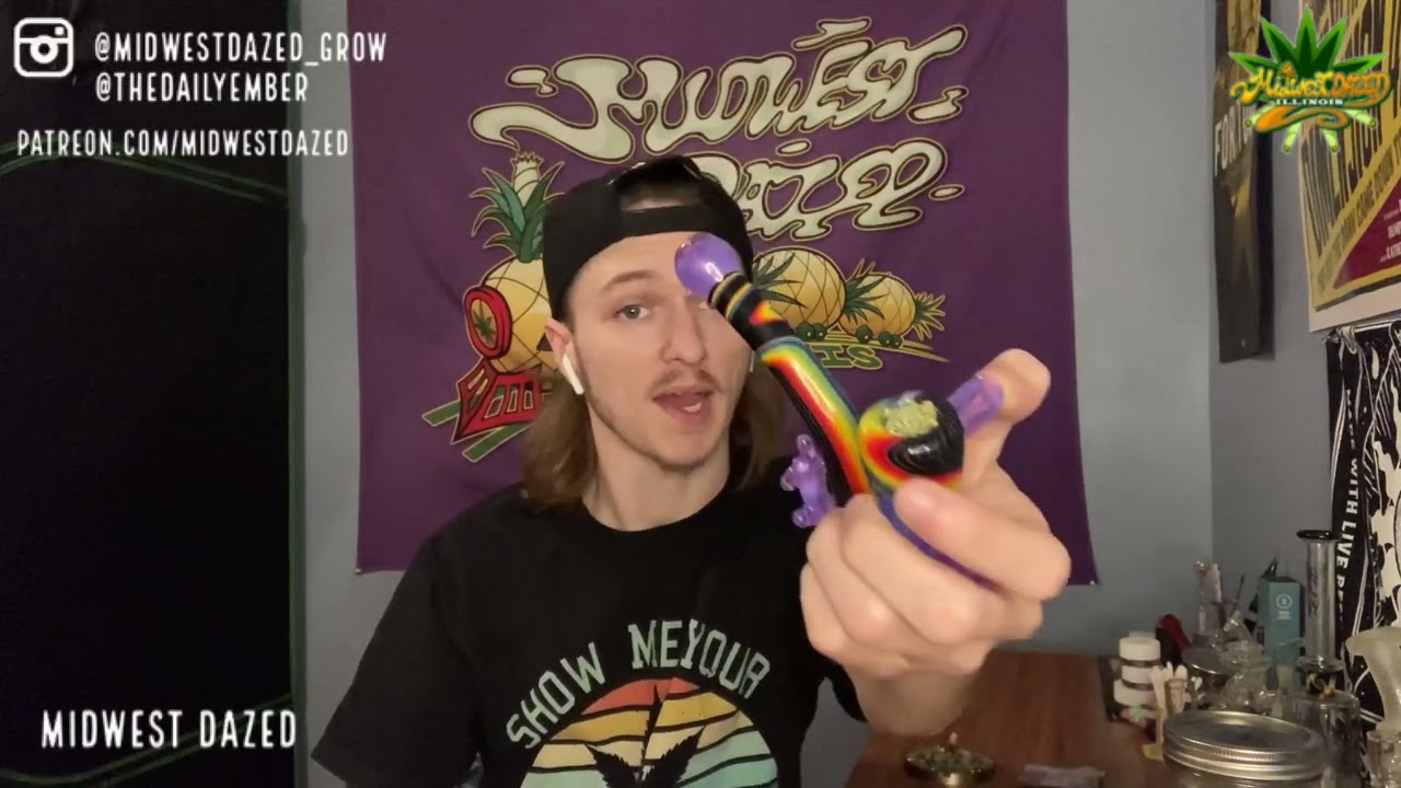 Tropical Runtz Homegrown Review
