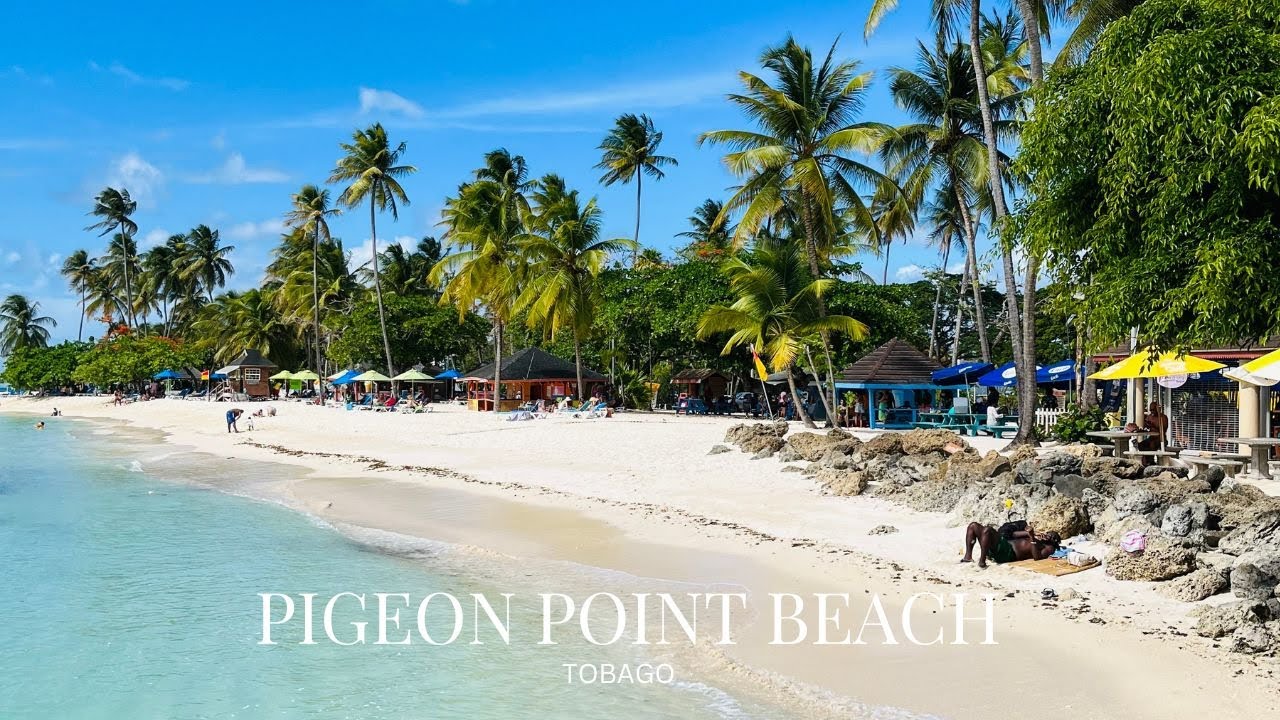 Escape to Tobago's Hidden Gem: Pigeon Point Beach Drone View