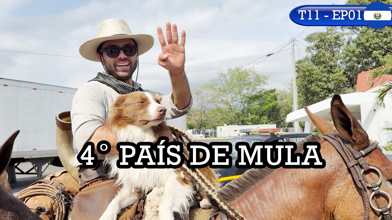 ENTREI DE MULA NO QUARTO PAIS