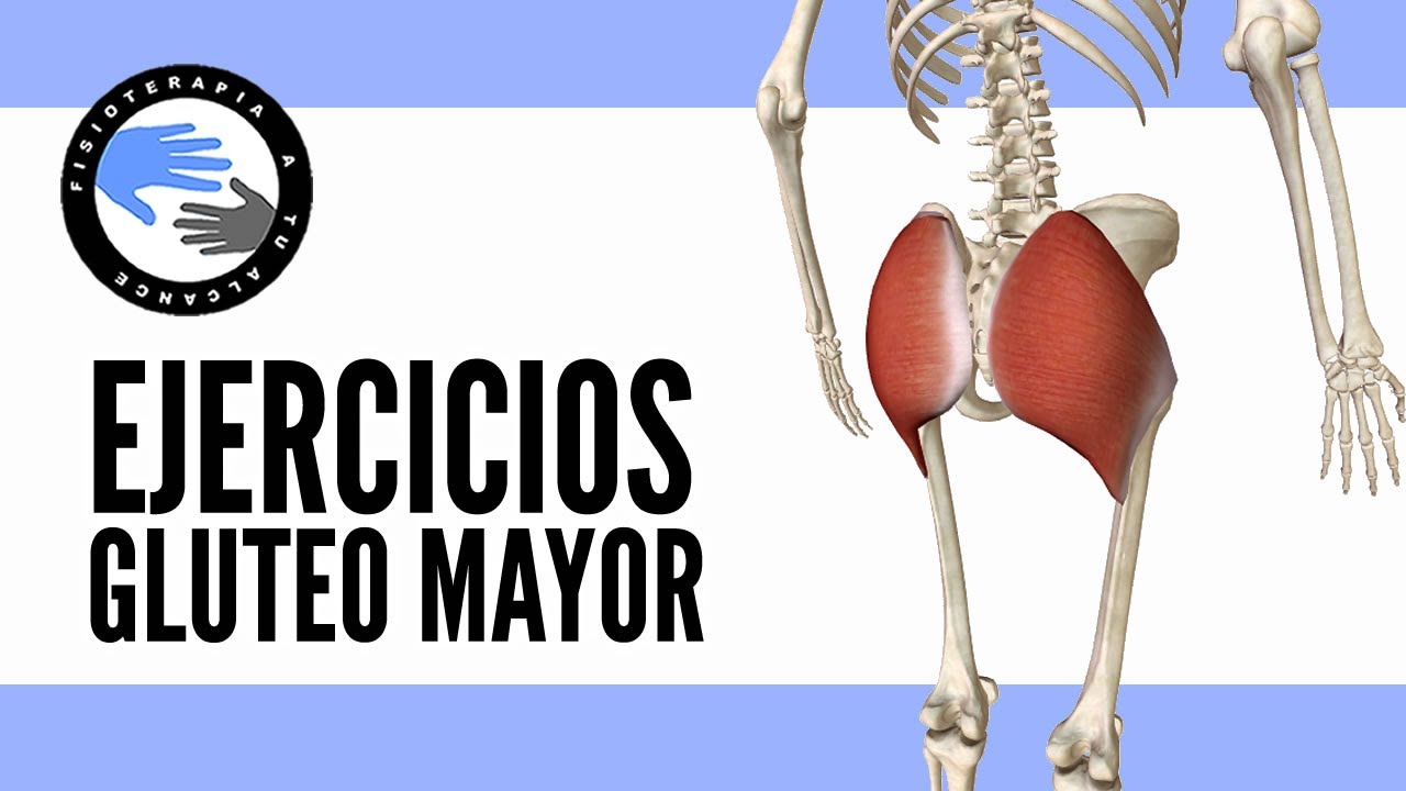 Los 5 mejores ejercicios para trabajar el gluteo mayor