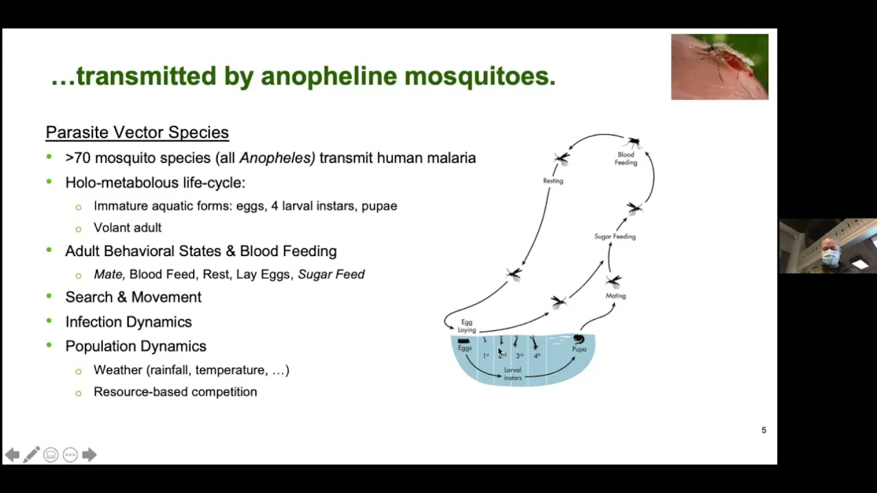 “Robust Analytics for Malaria Policy